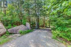 119 GAZELLE TRAIL | Apsley Ontario | Slide Image Three