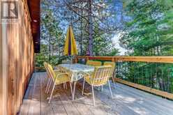 111 & 119 GAZELLE TRAIL | Apsley Ontario | Slide Image Four