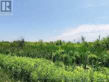 20200 HIGHWAY 48 | East Gwillimbury Ontario | Slide Image One
