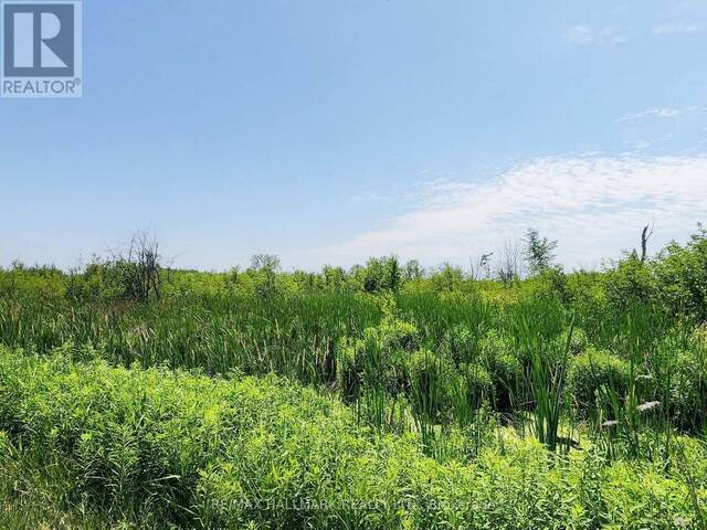 20200 HIGHWAY 48 East Gwillimbury Ontario, L0G 1M0 - Vacant Land For Sale