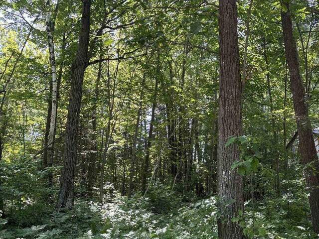 88 NADIA CRESCENT Tiny Ontario, L0L 2T0 - Vacant Land For Sale