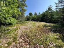 243 PRISQUE ROAD | Port Severn Ontario | Slide Image Thirteen