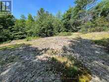 243 PRISQUE ROAD | Port Severn Ontario | Slide Image Fourteen