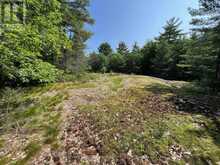 243 PRISQUE ROAD | Port Severn Ontario | Slide Image Seventeen