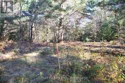 3 PARKER BAY ROAD | Whitestone Ontario | Slide Image Three