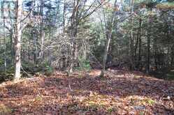 2 AND 3 PARKER BAY ROAD | Whitestone Ontario | Slide Image Twenty-four