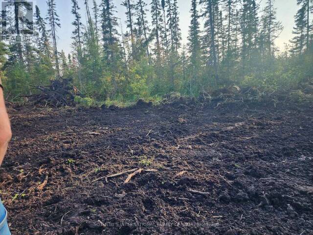 1022 THOMPSON ROAD Bracebridge Ontario, P1L 1X1 - Vacant Land For Sale