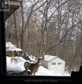 2 LEDGE ROAD | Toronto Ontario | Slide Image Thirty-five