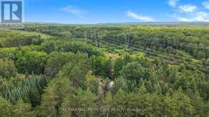 1347 OLD SECOND ROAD N | Springwater Ontario | Slide Image Six