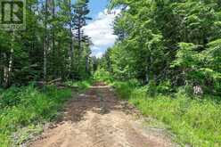 2285 SOUTHWOOD ROAD | Gravenhurst Ontario | Slide Image Forty-six