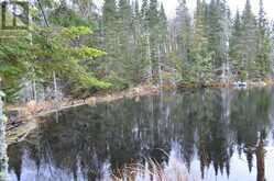 1555 MINNICOCK LAKE ROAD | Haliburton Ontario | Slide Image Thirteen
