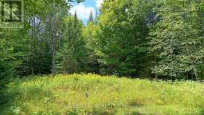 1555 MINNICOCK LAKE ROAD | Haliburton Ontario | Slide Image Twenty-one