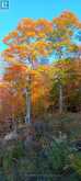 1555 MINNICOCK LAKE ROAD | Haliburton Ontario | Slide Image Nine