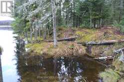 1555 MINNICOCK LAKE ROAD | Haliburton Ontario | Slide Image Ten