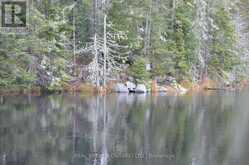 1555 MINNICOCK LAKE ROAD | Haliburton Ontario | Slide Image Twelve