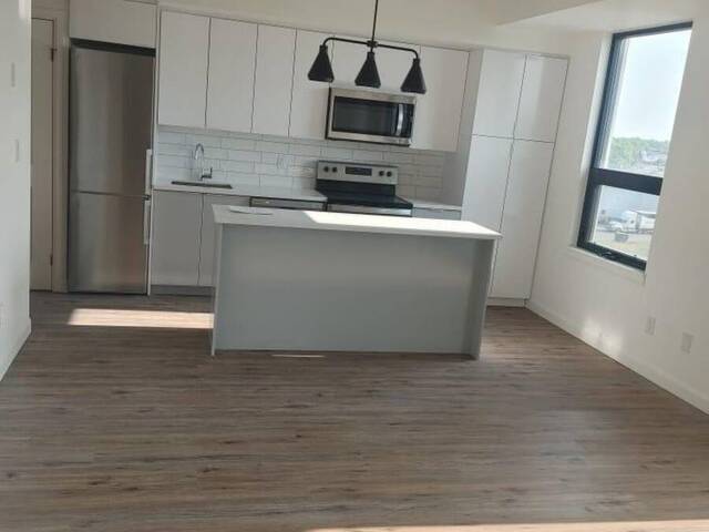 506 - 7 ERIE AVENUE Brantford Ontario, N3S 0K5 - 2 Bedrooms Condo For Sale