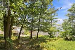 118 W UNIT 2 - 2045 MUSKOKA ROAD | Muskoka Lakes Ontario | Slide Image Forty-four