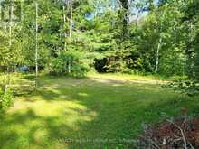 LT 50 CEDAR GROVE DRIVE | Tiny Ontario | Slide Image Nine