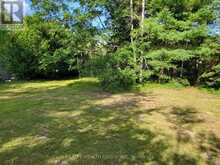 LT 50 CEDAR GROVE DRIVE | Tiny Ontario | Slide Image Four