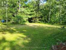 LT 50 CEDAR GROVE DRIVE | Tiny Ontario | Slide Image Three