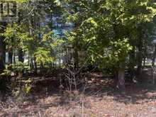 LOT 25 CHAMPLAIN ROAD | Tiny Ontario | Slide Image Twelve