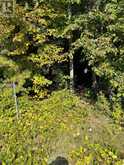 LOT 25 CHAMPLAIN ROAD | Tiny Ontario | Slide Image Thirteen