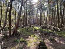 LOT 25 CHAMPLAIN ROAD | Tiny Ontario | Slide Image Two