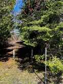 LOT 25 CHAMPLAIN ROAD | Tiny Ontario | Slide Image Four