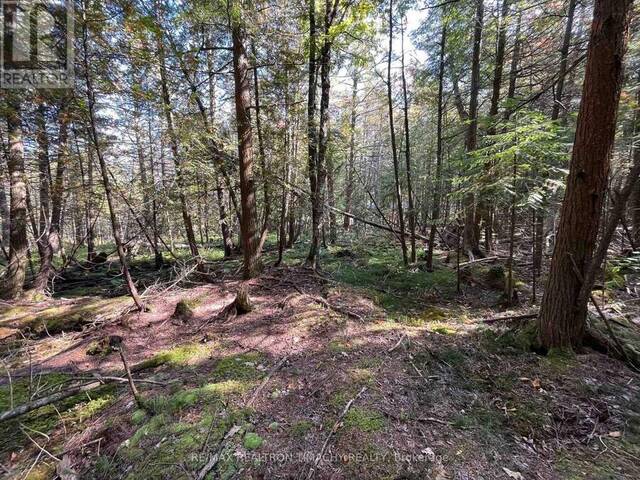 LOT 25 CHAMPLAIN ROAD Tiny Ontario, L9M 0C3 - Vacant Land For Sale