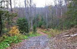 1827 HYBLA ROAD | Bancroft Ontario | Slide Image Three