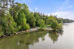 2 BIRCH KNOLL ROAD | Georgina Ontario | Slide Image Six