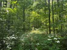 PT LT44 CHATSWORTH 24 ROAD | Chatsworth Ontario | Slide Image Two