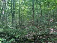 PT LT44 CHATSWORTH 24 ROAD | Chatsworth Ontario | Slide Image Nine