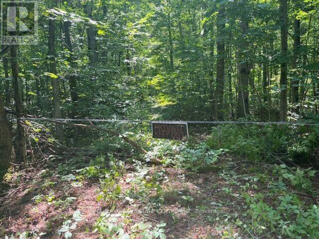 PT LT44 CHATSWORTH 24 ROAD Chatsworth Ontario, N0H 1R0 - Vacant Land For Sale