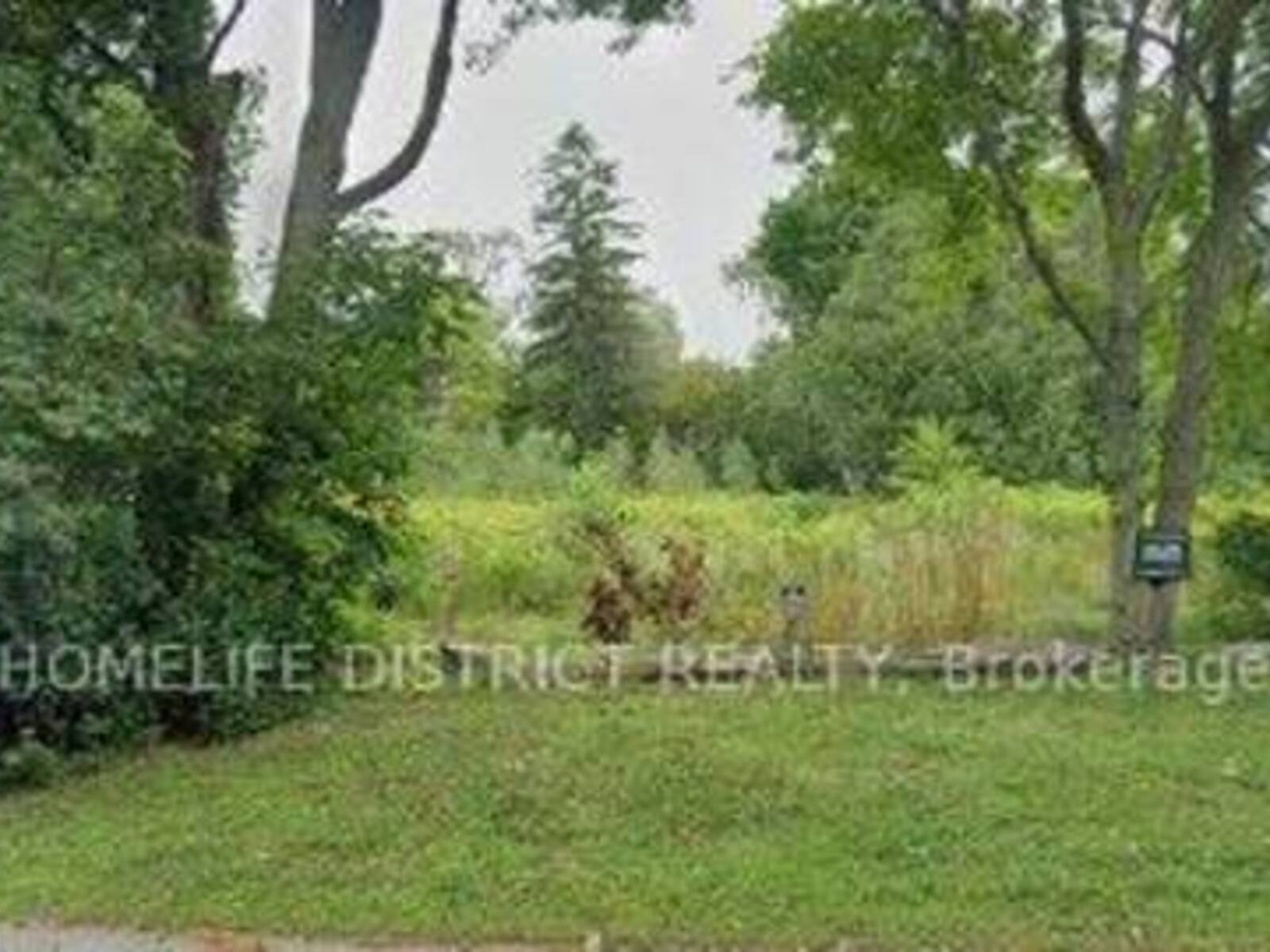 49 PERRY AVENUE, Hampton, Ontario L0B 1J0