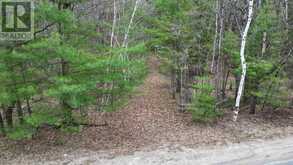 2493 HOUSEY'S RAPIDS ROAD | Kawartha Lakes Ontario | Slide Image Five