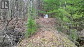 2493 HOUSEY'S RAPIDS ROAD | Kawartha Lakes Ontario | Slide Image Six