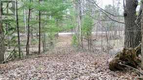 2493 HOUSEY'S RAPIDS ROAD | Kawartha Lakes Ontario | Slide Image Seven