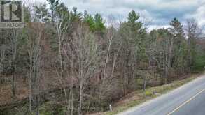 2493 HOUSEY'S RAPIDS ROAD | Kawartha Lakes Ontario | Slide Image Nine