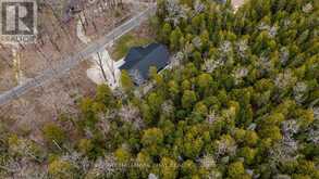 27 WHIPPOORWILL ROAD | Lion's Head Ontario | Slide Image Thirty