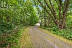 1037 ROCKCASTLE ROAD | Gravenhurst Ontario | Slide Image Three