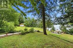 1143 RIGNALLS ROAD E | Bracebridge Ontario | Slide Image Forty-two