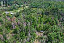 6608 HIGHWAY 28 | Apsley Ontario | Slide Image Forty-five