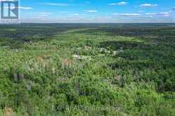 6608 HIGHWAY 28 | Apsley Ontario | Slide Image Forty-six