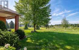 54 COUPLES GALLERY | Whitchurch-Stouffville Ontario | Slide Image Five