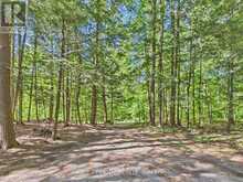 1527 MOON RIVER ROAD | MacTier Ontario | Slide Image Thirty-three