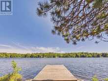 1527 MOON RIVER ROAD | MacTier Ontario | Slide Image Four