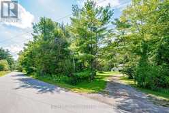 31 MORRISON STREET | Coboconk Ontario | Slide Image Three