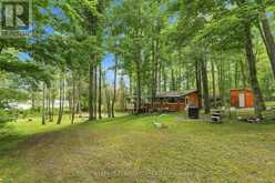 299 SWINBURNE LANE | Marmora Ontario | Slide Image Two