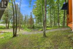 299 SWINBURNE LANE | Marmora Ontario | Slide Image Forty